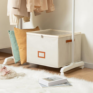 Fabric Shoe Storage Boxes